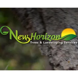 Local lawn care service for year-round maintenance across Hemet, CA - New Horizon Trees and Landscaping Services