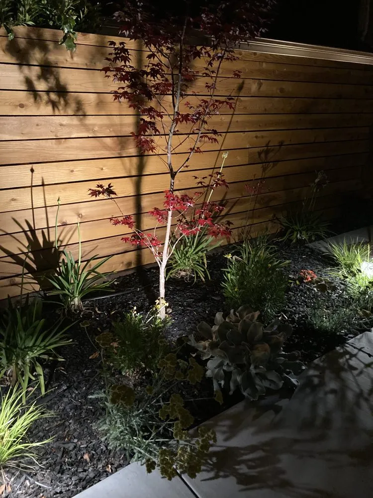 Top-rated landscaping services in Atascadero, CA - New Horizons Landscape