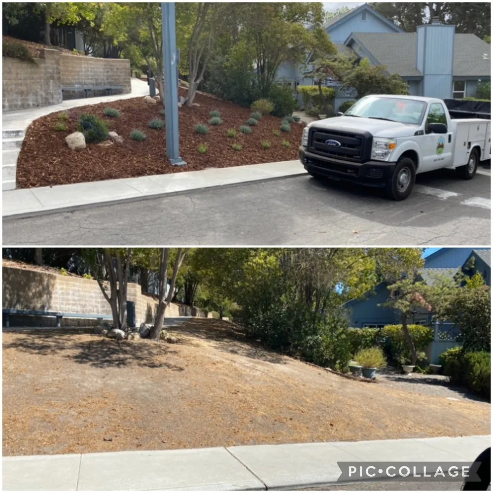 Reliable lawn mowing service in Atascadero, CA by New Horizons Landscape