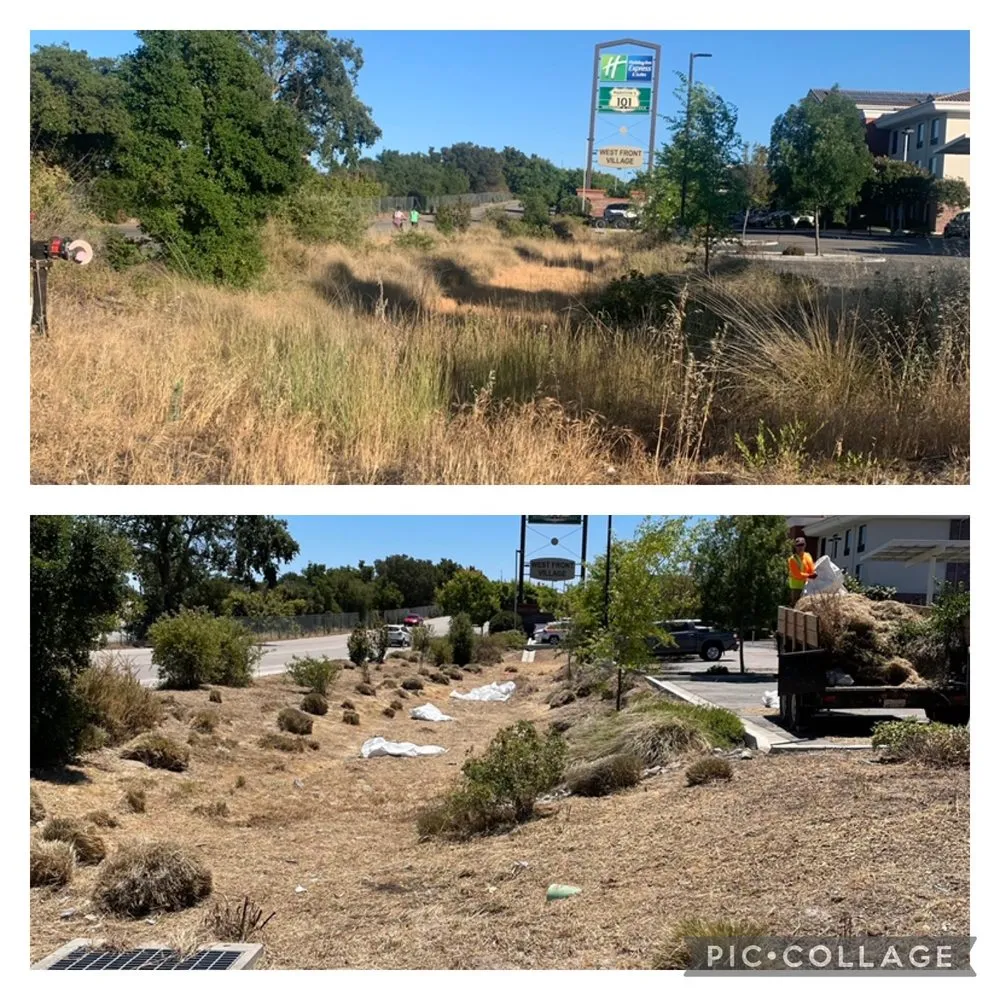 Local yard maintenance for residential properties across Atascadero, CA - New Horizons Landscape