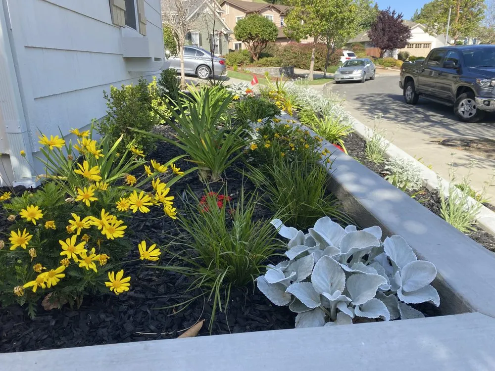 Custom outdoor landscaping in Atascadero, CA by New Horizons Landscape