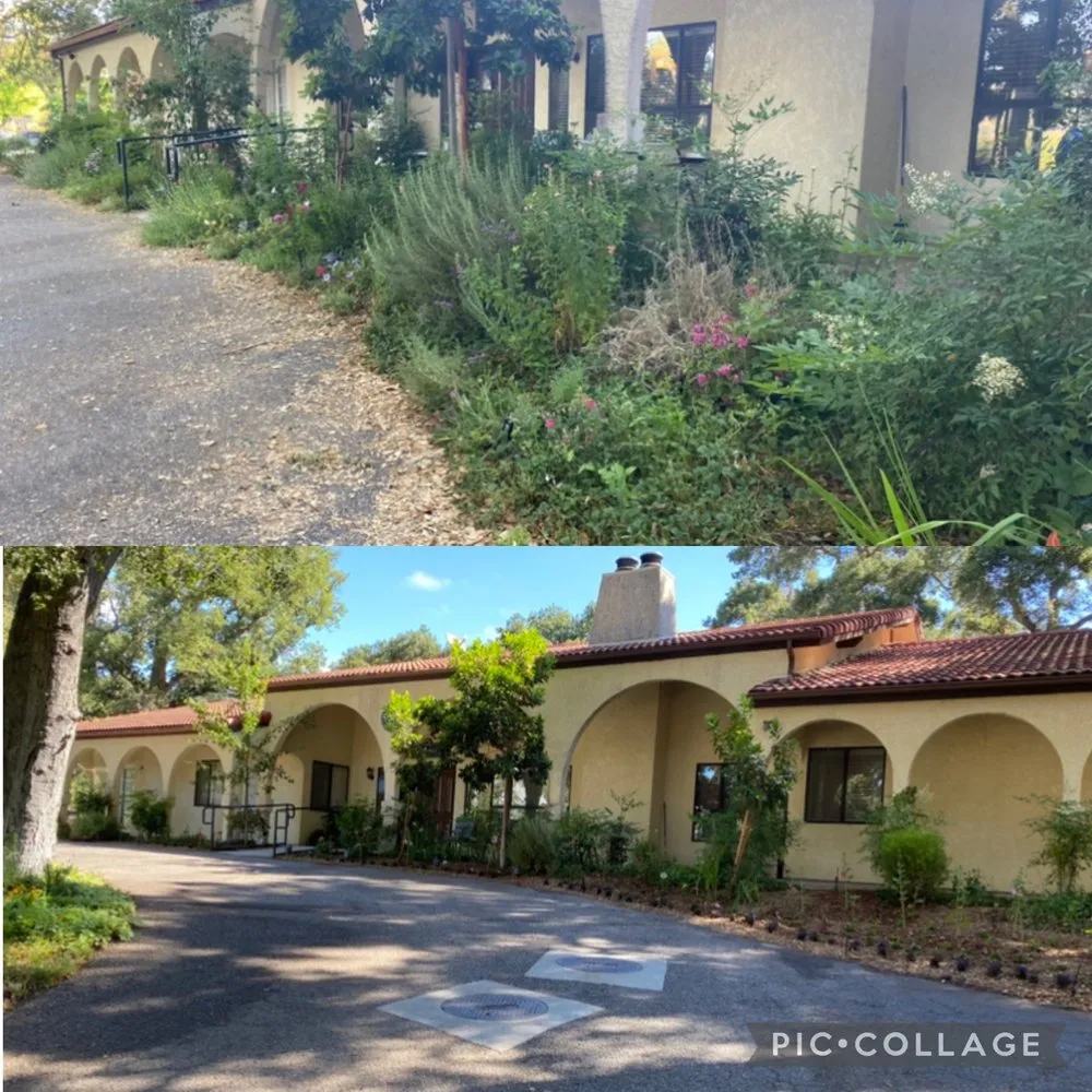 Local yard cleanup service in Atascadero, CA by New Horizons Landscape