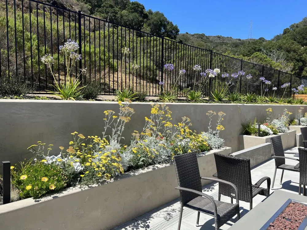 Affordable lawn mowing service experts serving Atascadero, CA - New Horizons Landscape