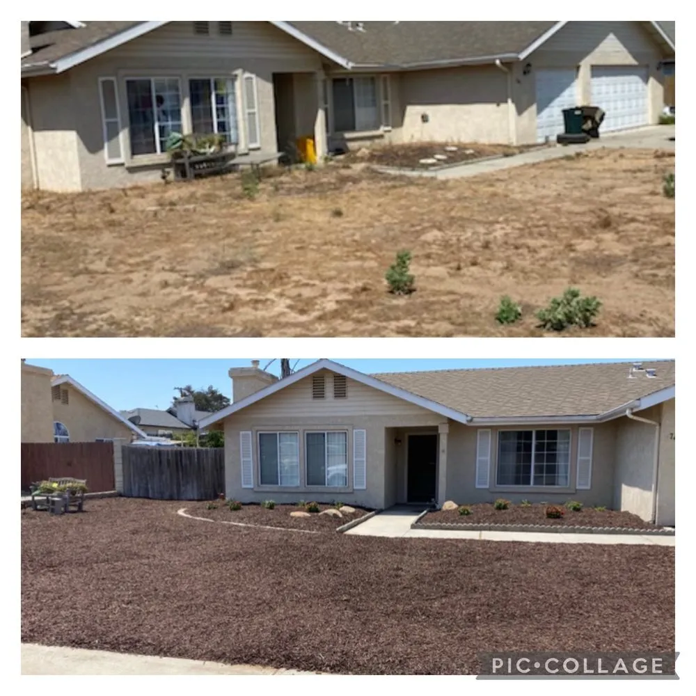 Reliable yard maintenance for year-round maintenance across Atascadero, CA - New Horizons Landscape