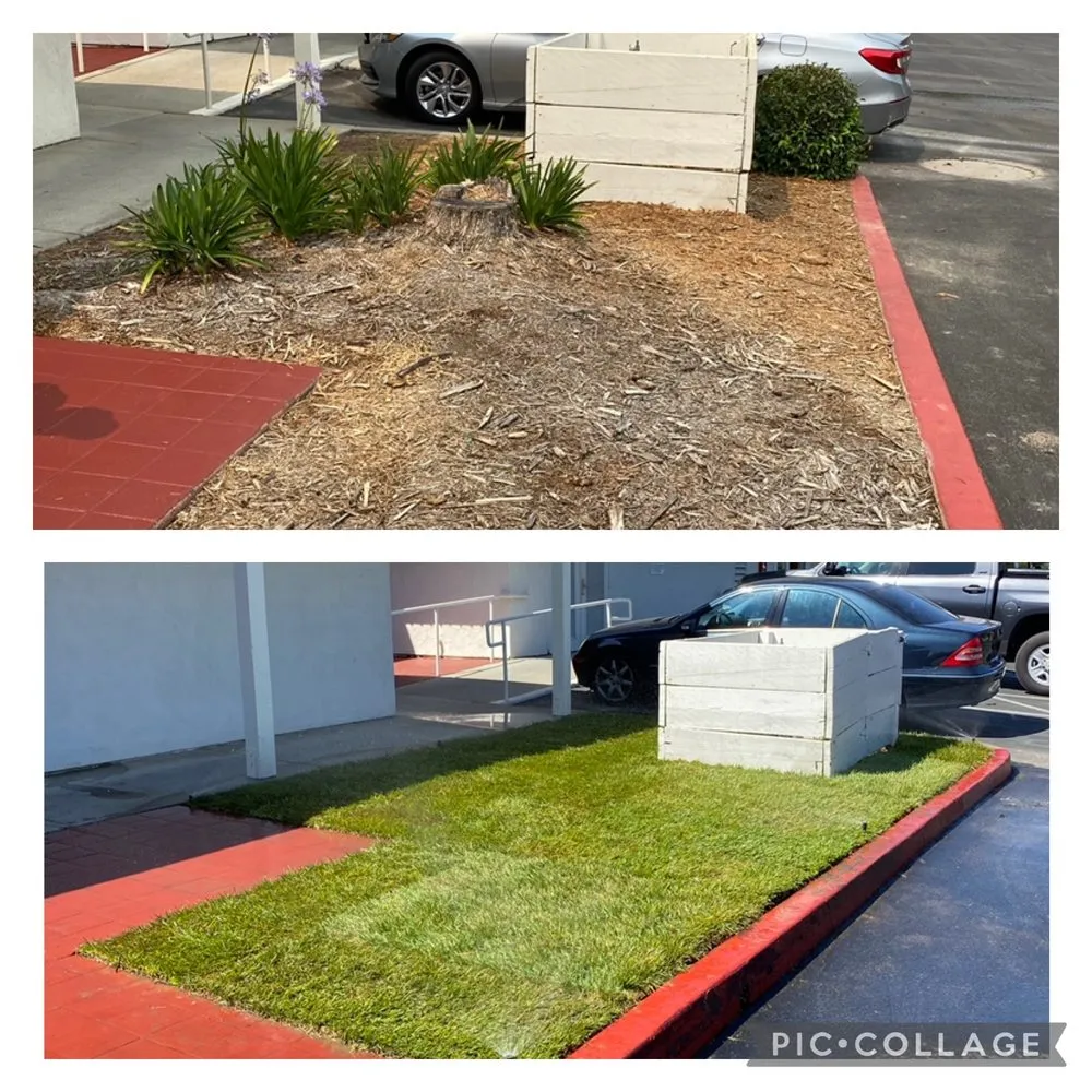 Professional lawn mowing service in Atascadero, CA by New Horizons Landscape