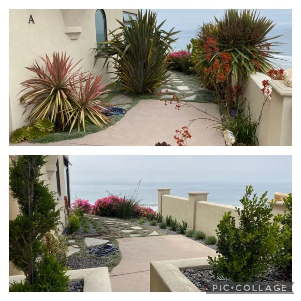 Custom yard cleanup service in Atascadero, CA - New Horizons Landscape