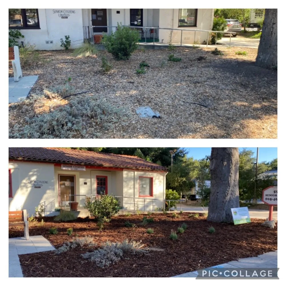 Local lawn mowing service with custom design across Atascadero, CA - New Horizons Landscape