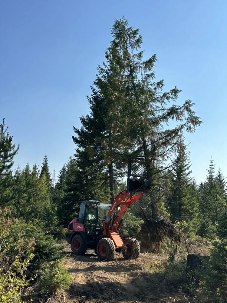 Custom lawn mowing service experts serving Spirit Lake, ID - New Horizons Landscape