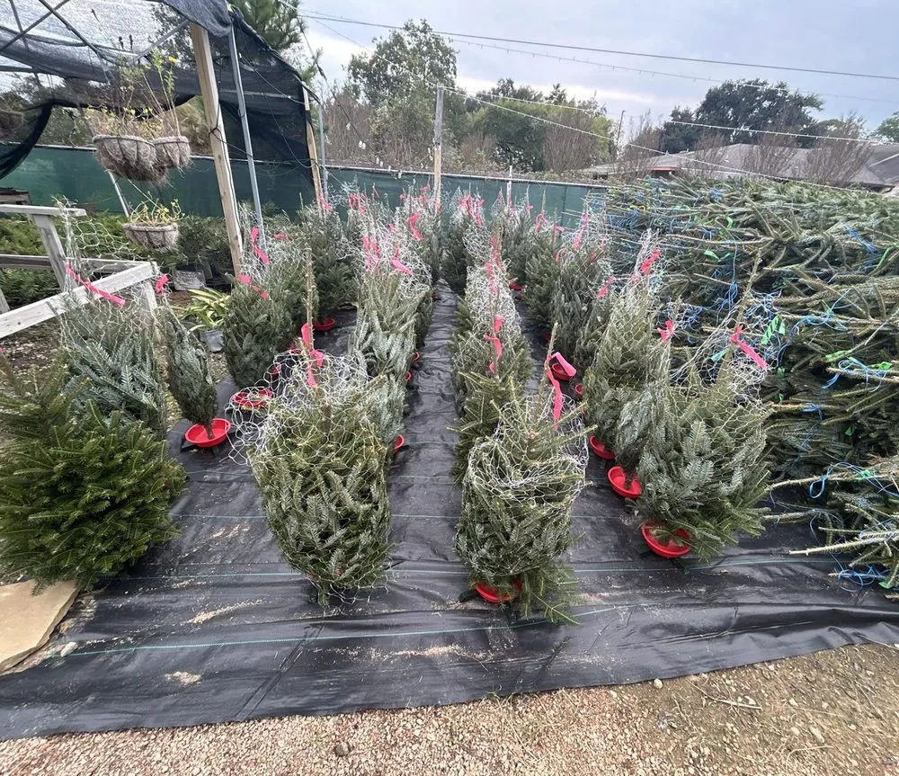 Reliable landscape design experts serving Cypress, TX - New Horizons Nursery & Landscaping