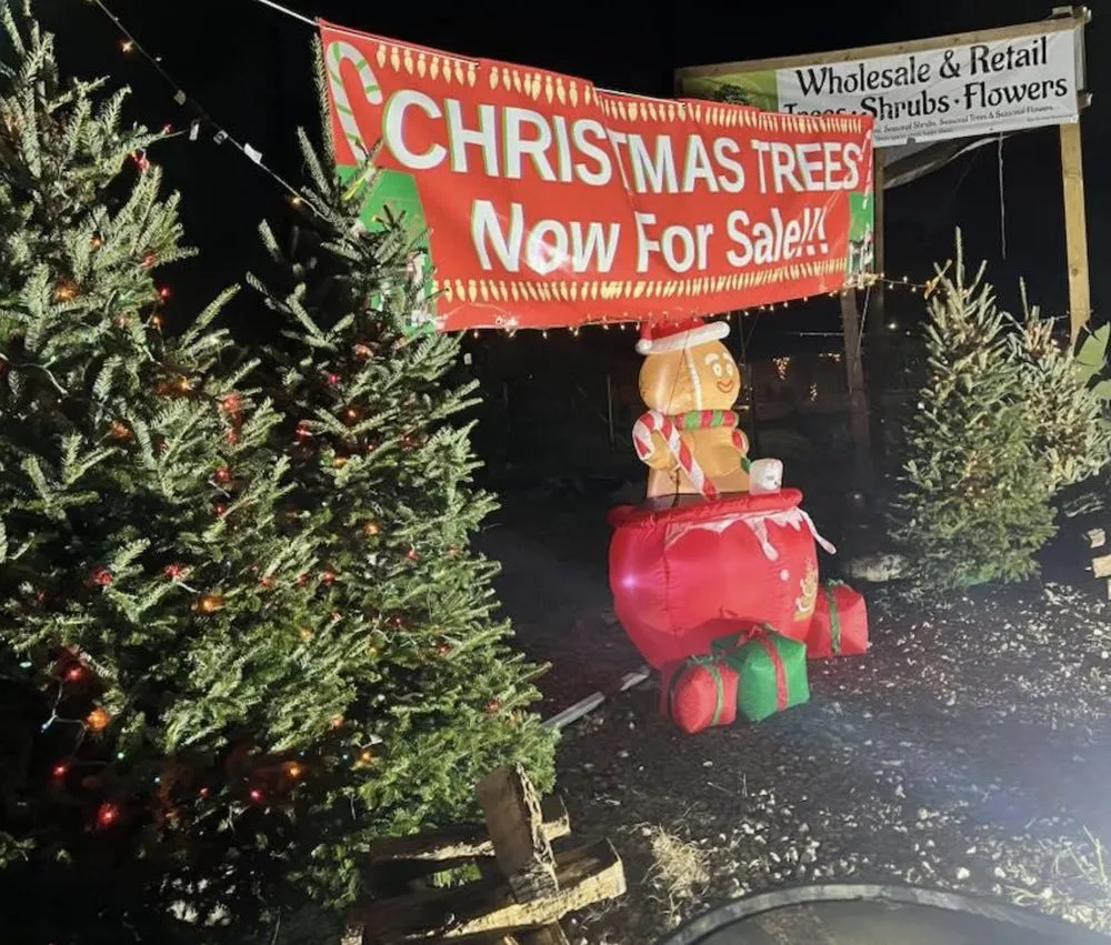 Expert outdoor landscaping experts serving Cypress, TX - New Horizons Nursery & Landscaping