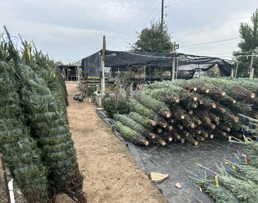 Reliable landscaping services experts serving Cypress, TX - New Horizons Nursery & Landscaping