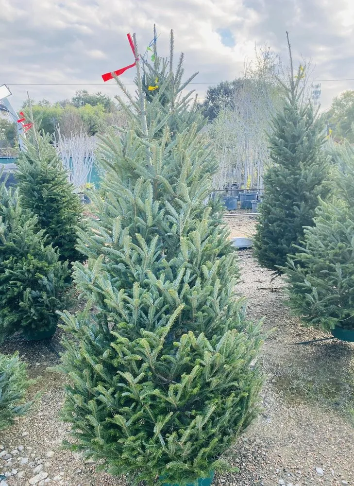 Custom lawn mowing service in Cypress, TX - New Horizons Nursery & Landscaping