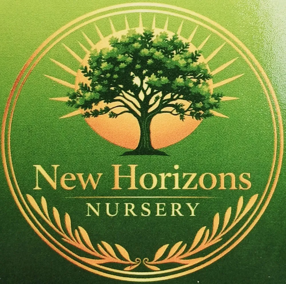 Reliable landscape installation experts serving Cypress, TX - New Horizons Nursery & Landscaping
