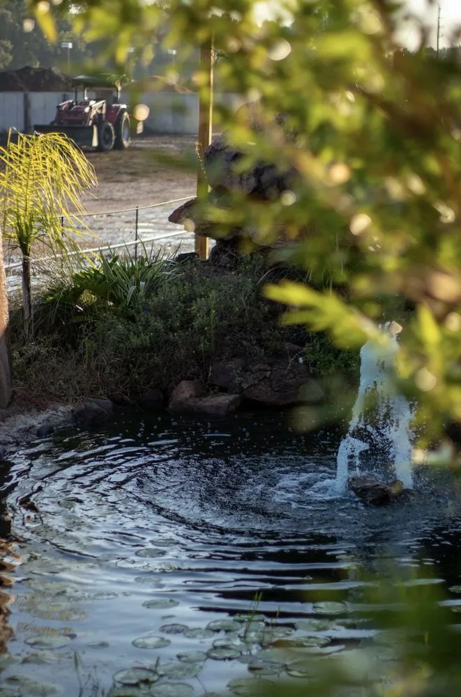 Affordable landscape installation experts serving Cypress, TX - New Horizons Nursery & Landscaping