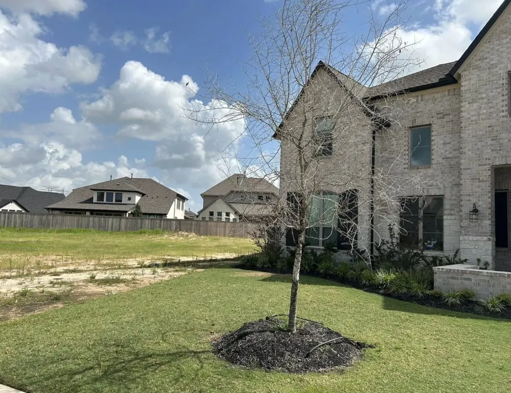 Expert outdoor landscaping for homes in Cypress, TX by New Horizons Nursery & Landscaping