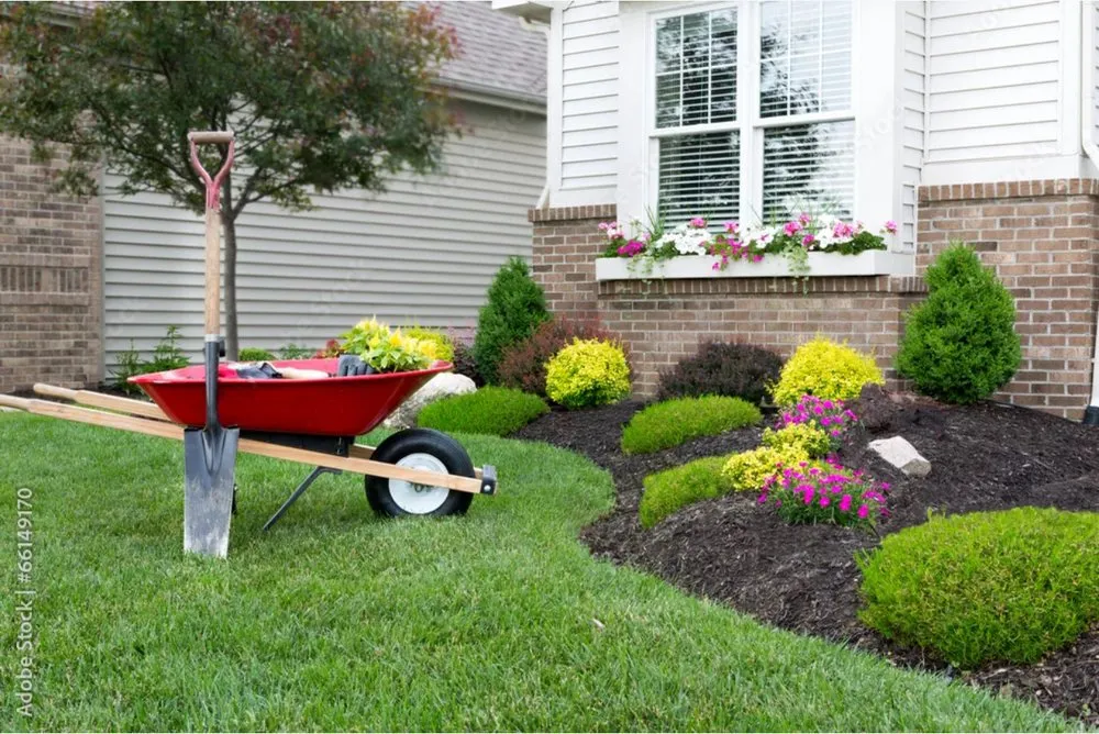 Local yard cleanup service for outdoor upgrades across Sarasota, FL - New Horizons Property and Facility Services