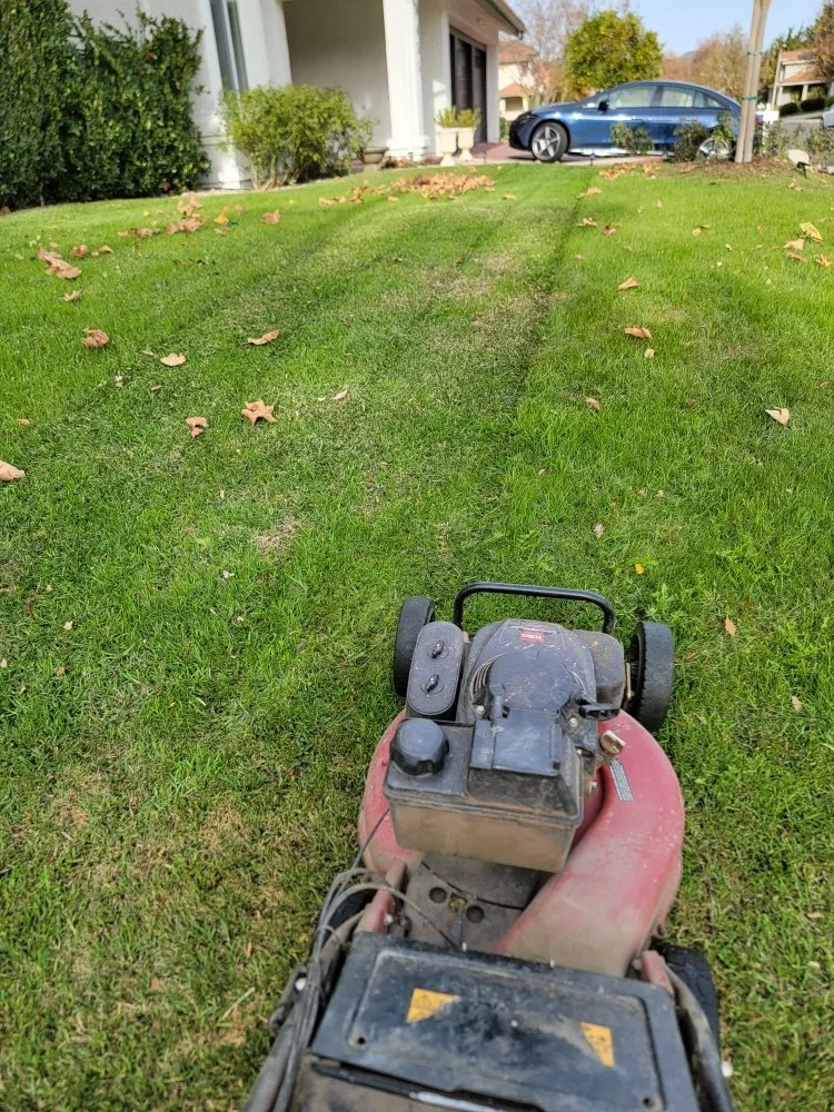 Professional lawn care service for homes across Thousand Oaks, CA - New Ideas Landscaping and Maintenance