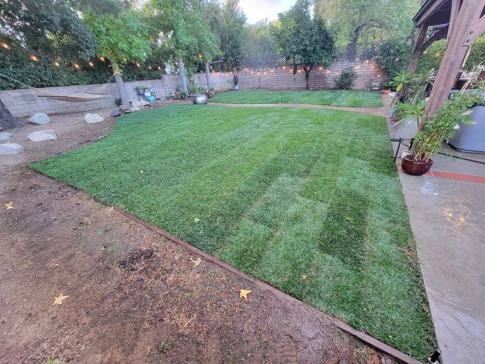 Trusted lawn care service in Thousand Oaks, CA by New Ideas Landscaping and Maintenance