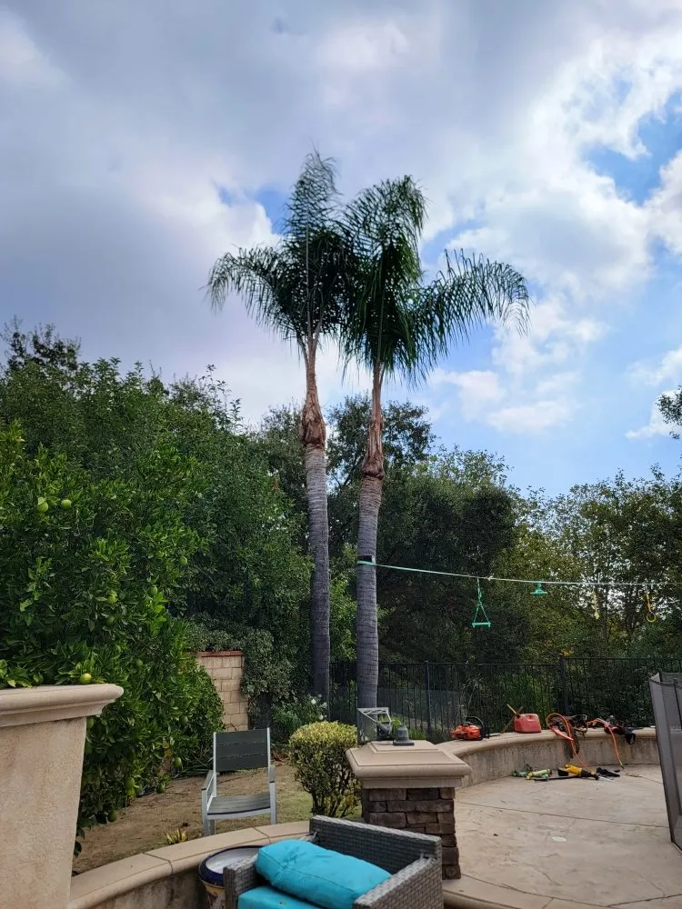 Local yard maintenance with custom design in Thousand Oaks, CA by New Ideas Landscaping and Maintenance