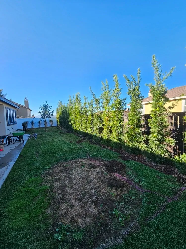 Top-rated yard cleanup service in Yucaipa, CA by New Image Landscape & Design