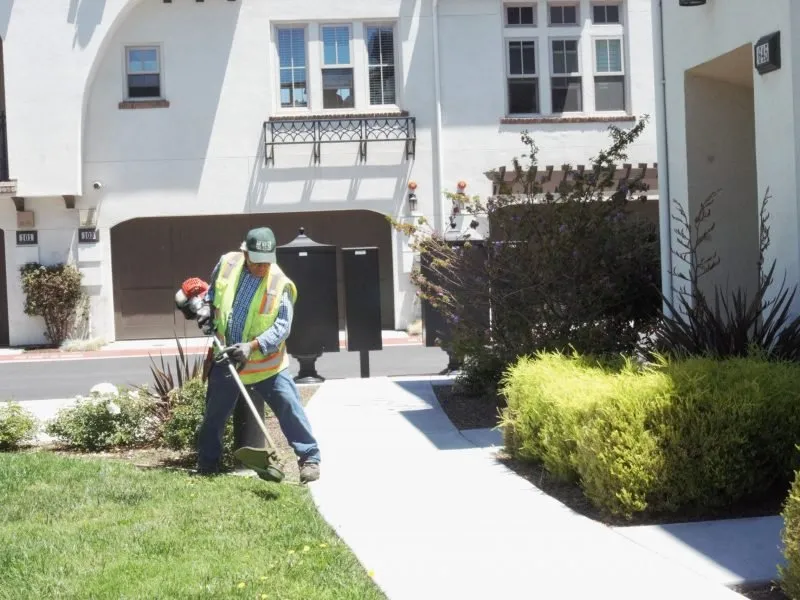 Expert residential landscaping in Fremont, CA by New Image Landscape Company