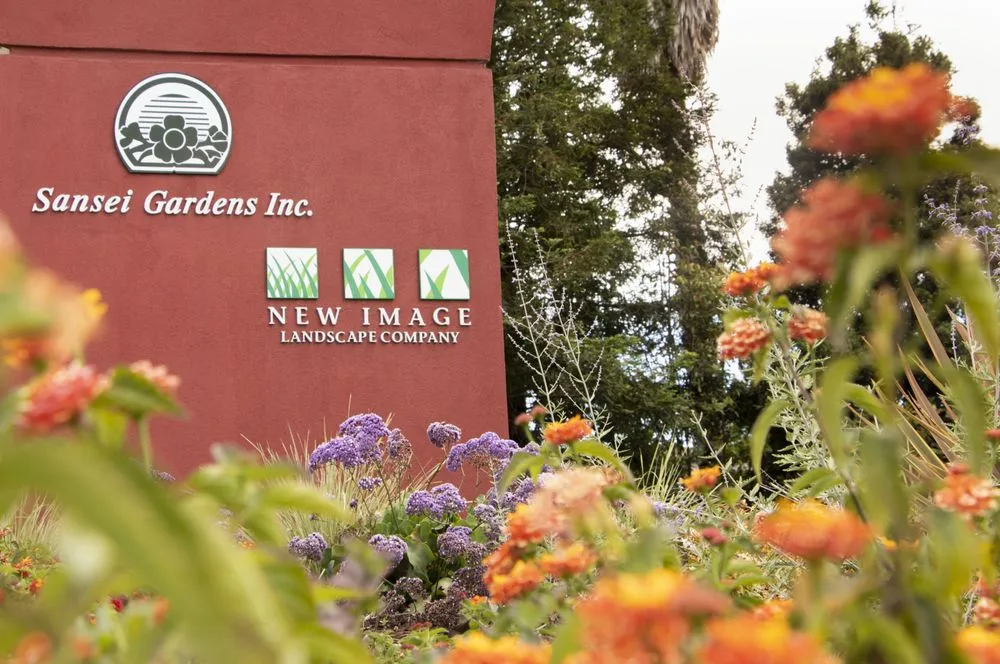 Local landscaping services near you across Fremont, CA - New Image Landscape Company