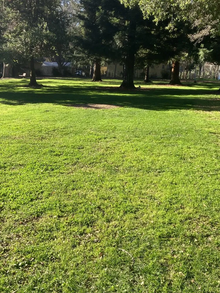 Trusted outdoor landscaping with custom design across Fremont, CA - New Image Landscape Company