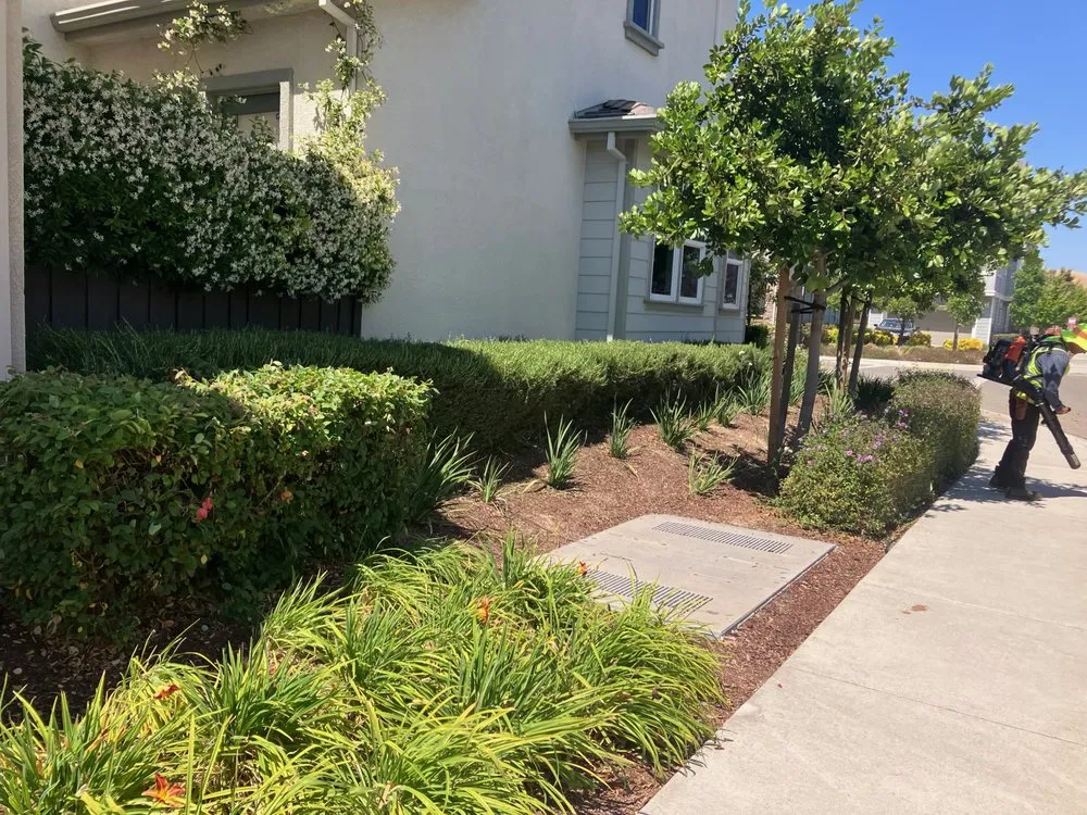 Local landscape installation in Fremont, CA by New Image Landscape Company