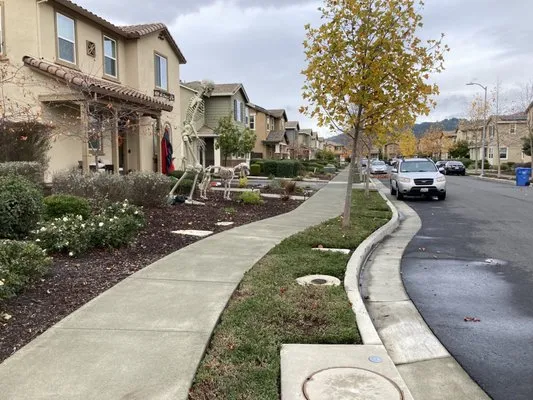 New Image Landscape Company Logo