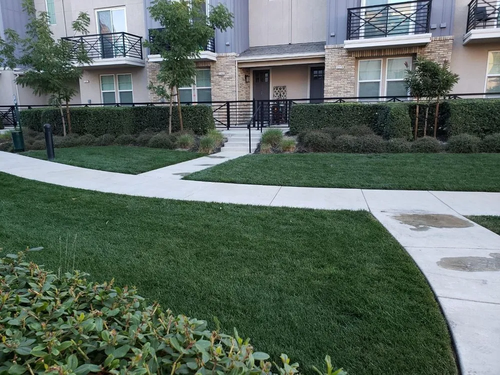 Reliable yard maintenance in Birmingham, AL by New image landscape service