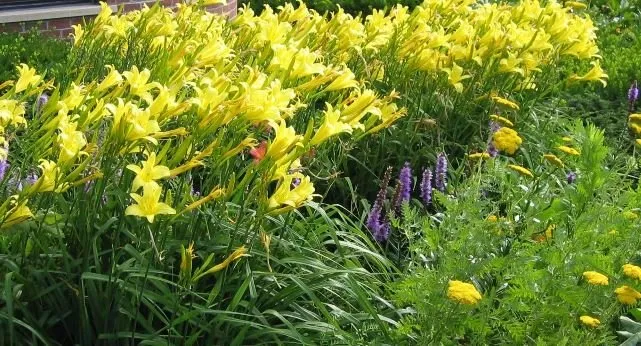 Reliable yard cleanup service for outdoor upgrades across Birmingham, AL - New image landscape service