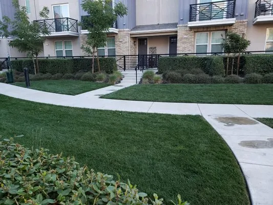 New image landscape service Logo