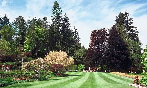 Affordable landscape design in South Plainfield, NJ by New Image Landscaping - Landscaping & Supplies