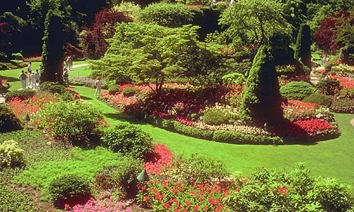 Affordable lawn care service experts serving South Plainfield, NJ - New Image Landscaping - Landscaping & Supplies