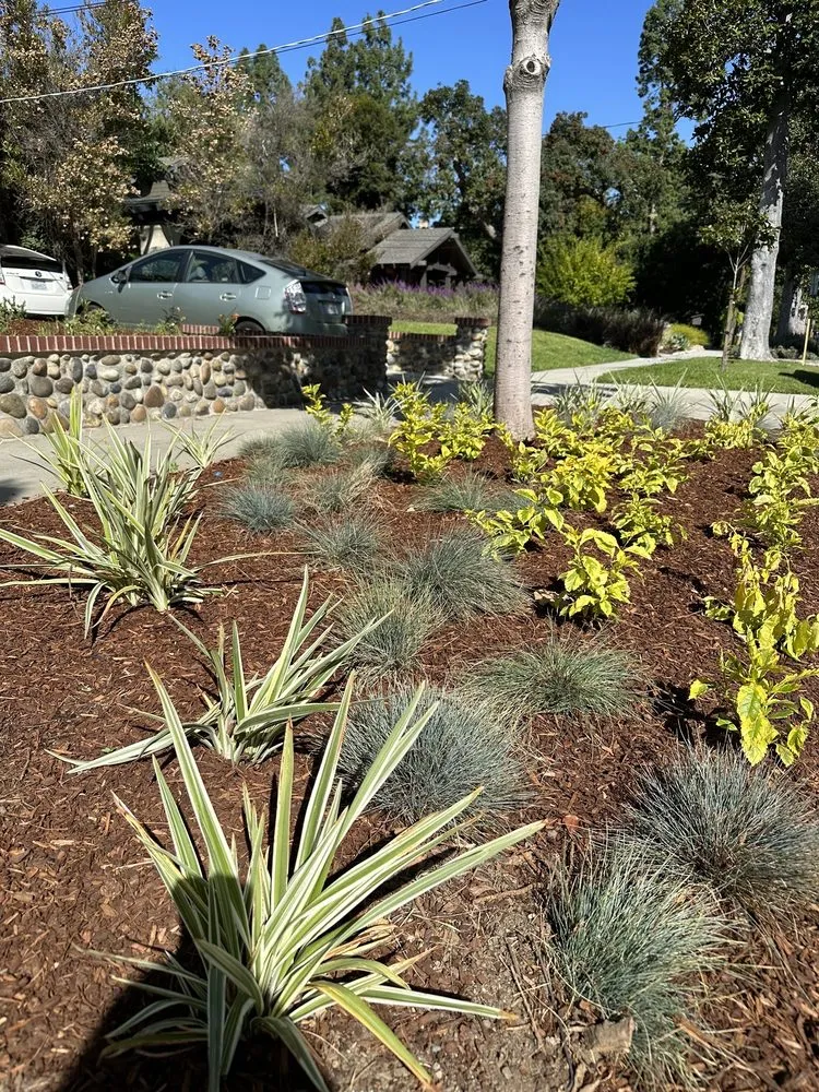 Custom lawn mowing service for year-round maintenance in Altadena, CA by New Image Landscaping