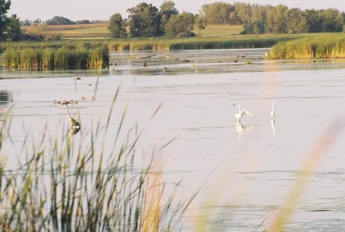 Professional landscape installation for residential properties across Altadena, CA - New Image Landscaping