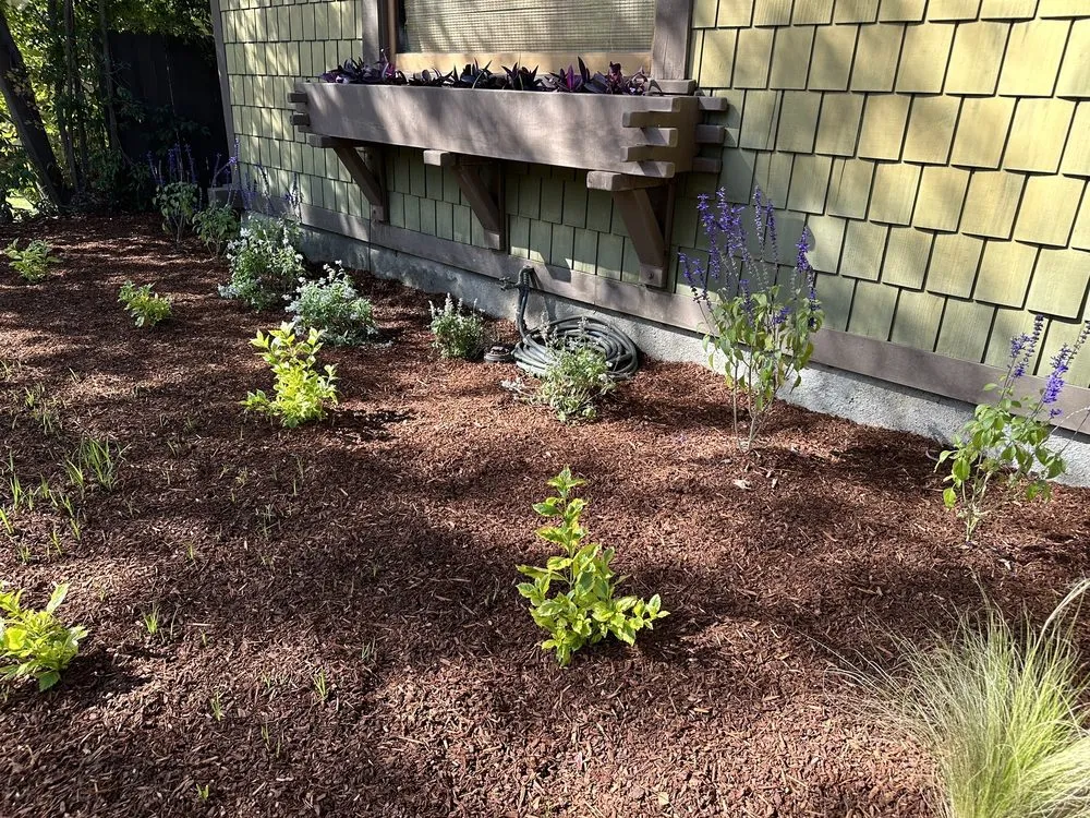 Expert garden landscaping for residential properties across Altadena, CA - New Image Landscaping