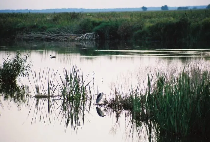 Reliable garden landscaping with custom design across Altadena, CA - New Image Landscaping