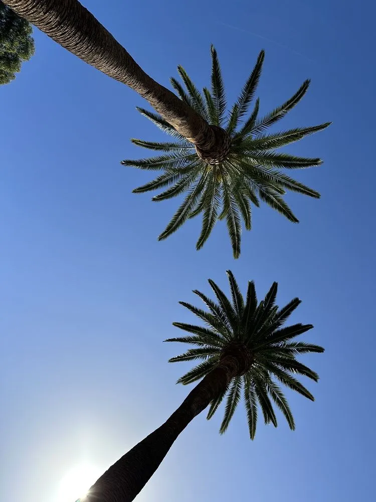 Reliable garden landscaping experts serving Altadena, CA - New Image Landscaping