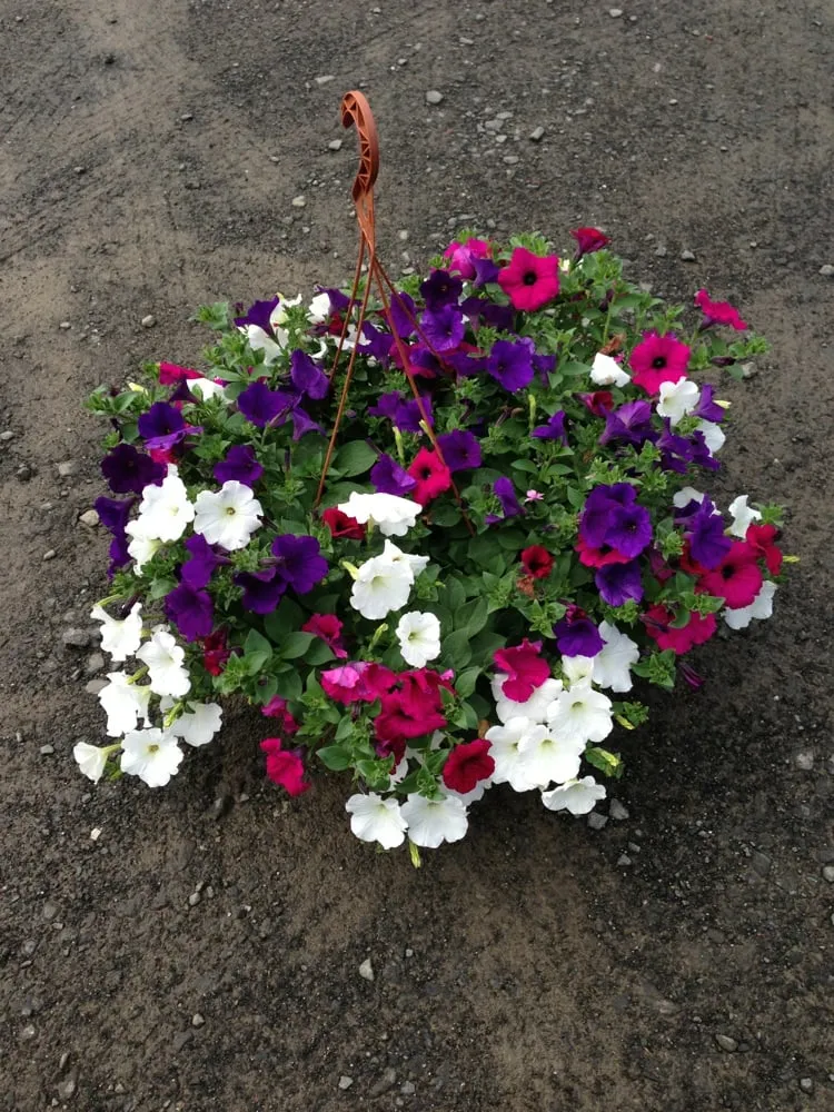 Professional lawn care service in Middlefield, CT by New Image Landscaping and Tree Service