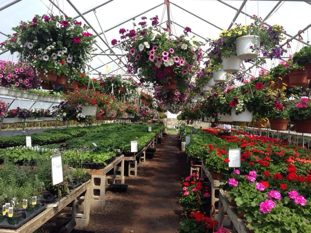 Reliable yard cleanup service experts serving Middlefield, CT - New Image Landscaping and Tree Service