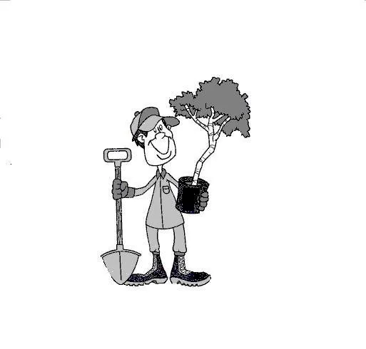 Reliable landscape design in Seminole, FL - New Image Landscaping of Florida