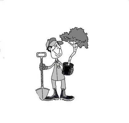 New Image Landscaping of Florida Logo