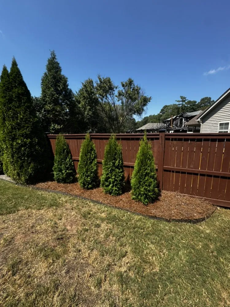 Affordable yard cleanup service near you in Rolesville, NC by New Image Landscaping
