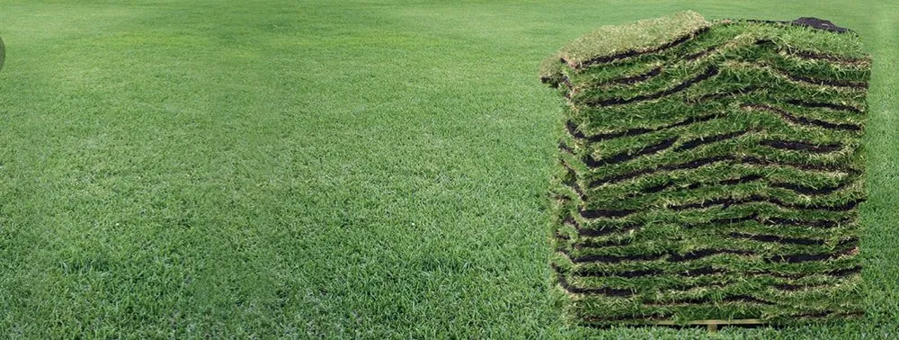 Top-rated yard maintenance in Eagle Lake, FL - New Image Lawn Care