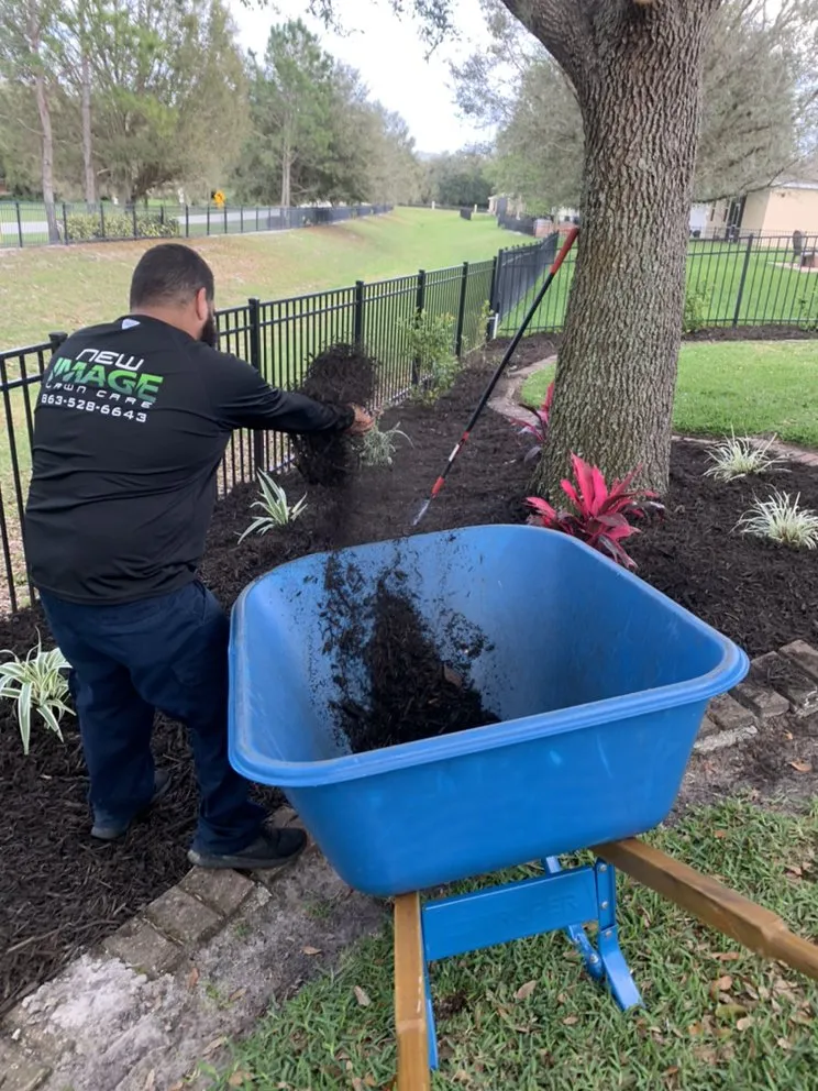 Expert residential landscaping for outdoor upgrades across Eagle Lake, FL - New Image Lawn Care