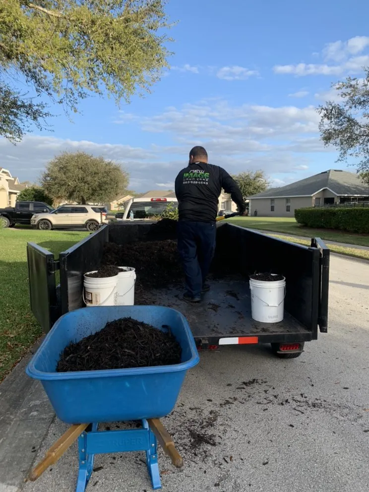 Affordable residential landscaping experts serving Eagle Lake, FL - New Image Lawn Care