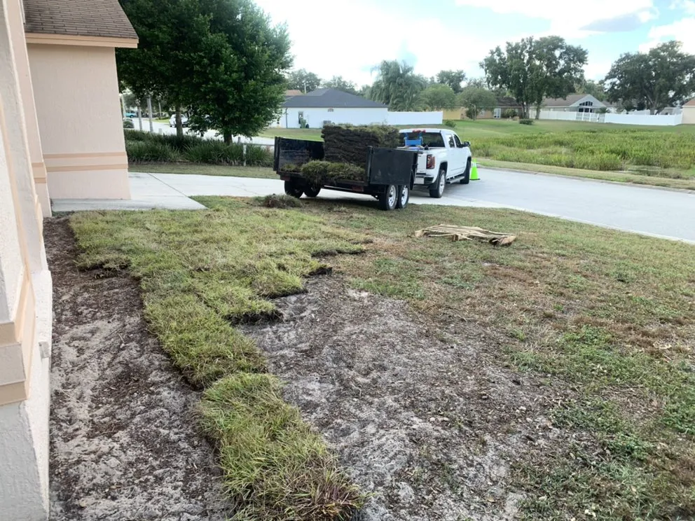 Top-rated residential landscaping in Eagle Lake, FL by New Image Lawn Care