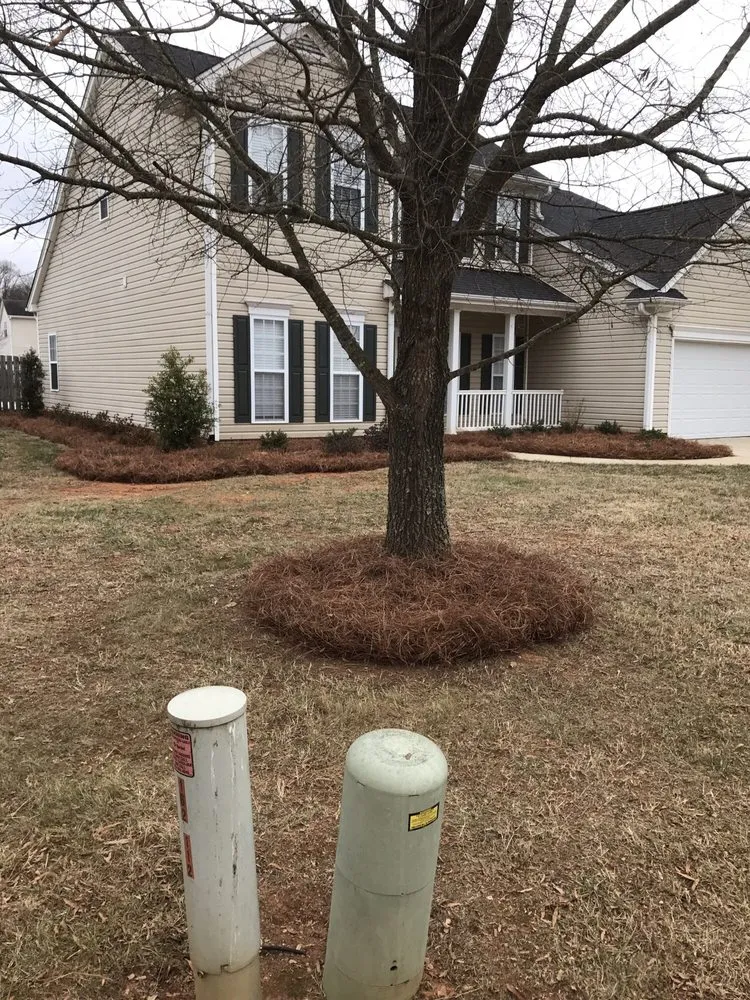 Top-rated residential landscaping for outdoor upgrades across Jamestown, NC - New Image Lawn Care