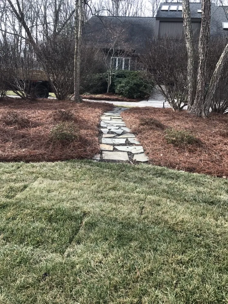 Custom yard cleanup service near you across Jamestown, NC - New Image Lawn Care